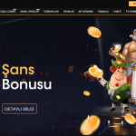 Lordcasino Nedir Ve Nasıl Çalışır?